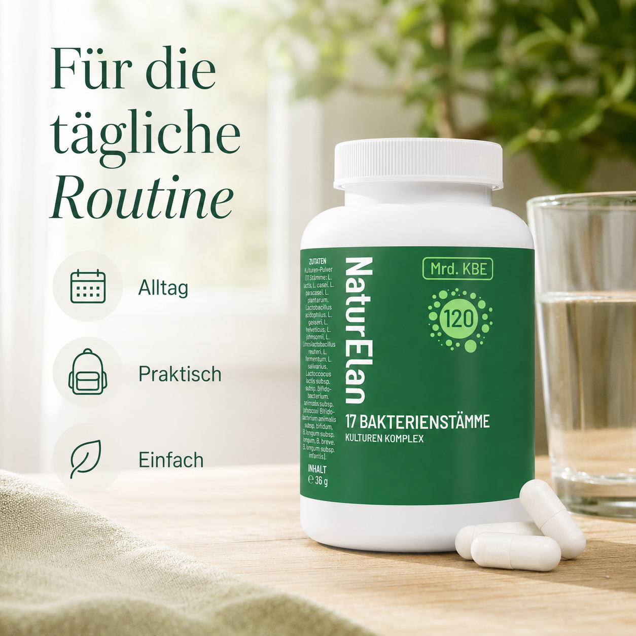 120 Mrd. KbE Bakterienkulturen Komplex – 17 Stämme | Vegan