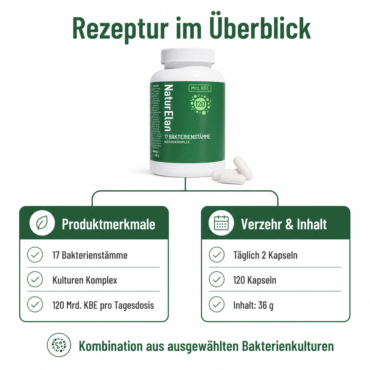 120 Mrd. KbE Bakterienkulturen Komplex – 17 Stämme | Vegan