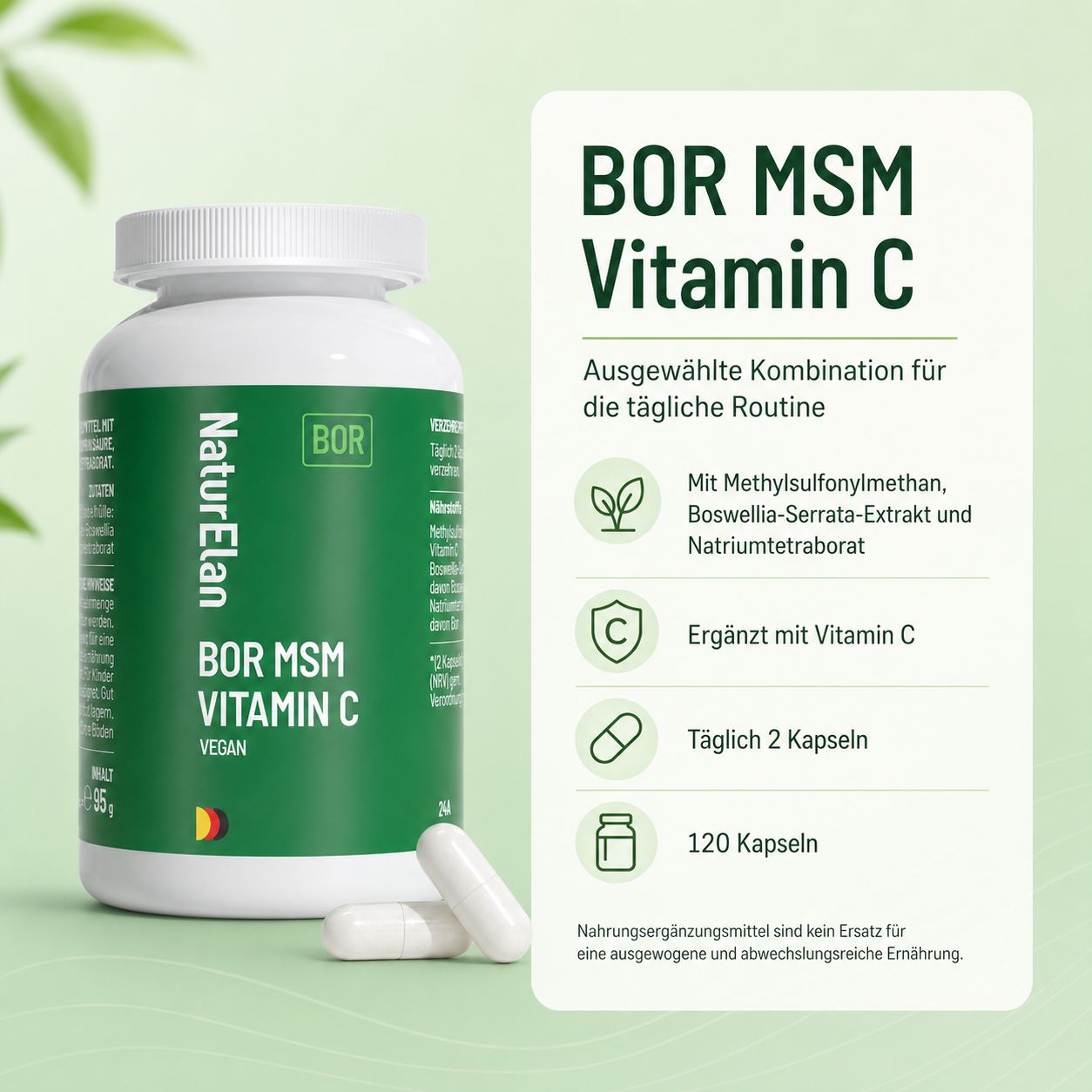 BOR MSM Vitamin C – 120 Kapseln | Vegan